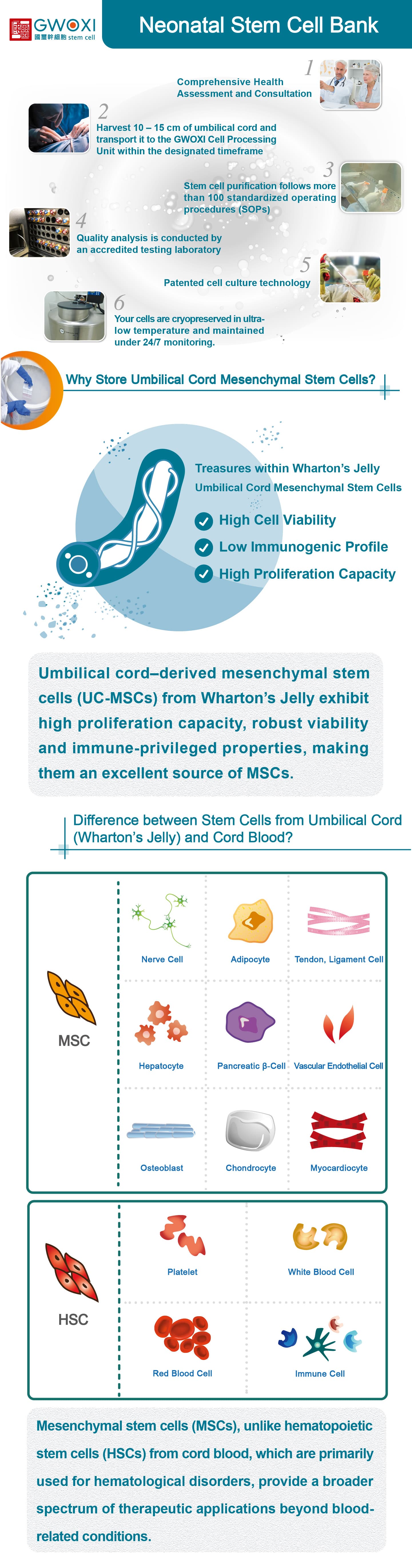 Newborn Stem Cell Storage