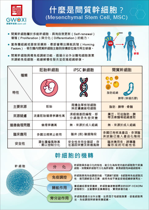 什麼是間質幹細胞?
