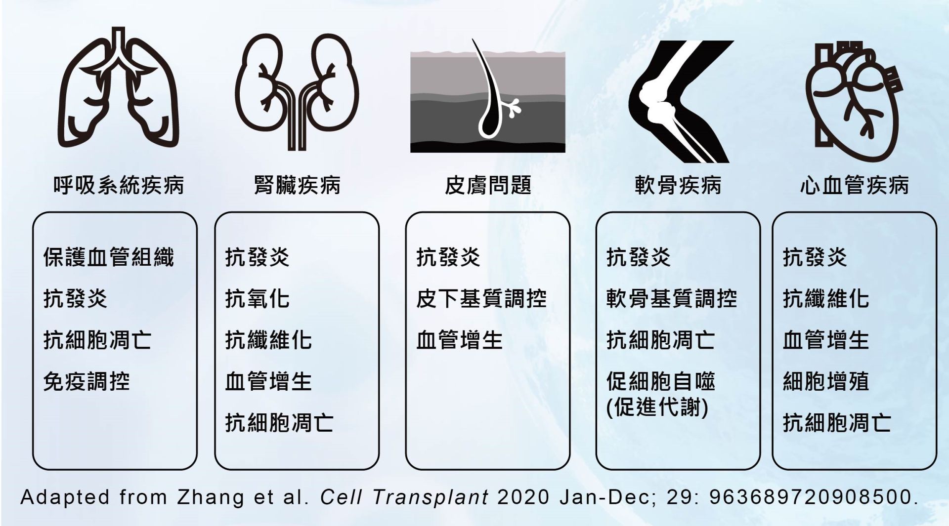 外泌體功效